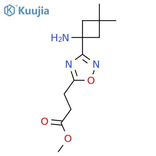 methyl 3-3-(1-amino-3,3-dimethylcyclobutyl)-1,2,4-oxadiazol-5-ylpropanoate structure