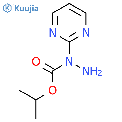 N-(pyrimidin-2-yl)(propan-2-yloxy)carbohydrazide structure