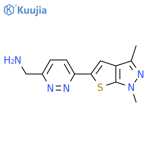 (6-{1,3-dimethyl-1H-thieno2,3-cpyrazol-5-yl}pyridazin-3-yl)methanamine structure