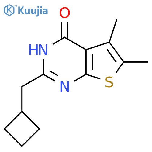 2-(cyclobutylmethyl)-5,6-dimethyl-3H,4H-thieno2,3-dpyrimidin-4-one structure