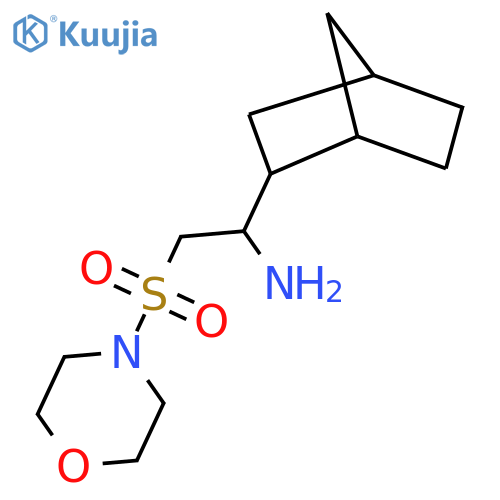1-{bicyclo2.2.1heptan-2-yl}-2-(morpholine-4-sulfonyl)ethan-1-amine structure