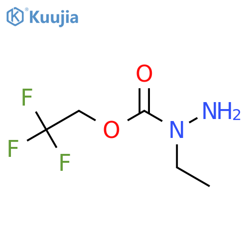 N-ethyl(2,2,2-trifluoroethoxy)carbohydrazide structure