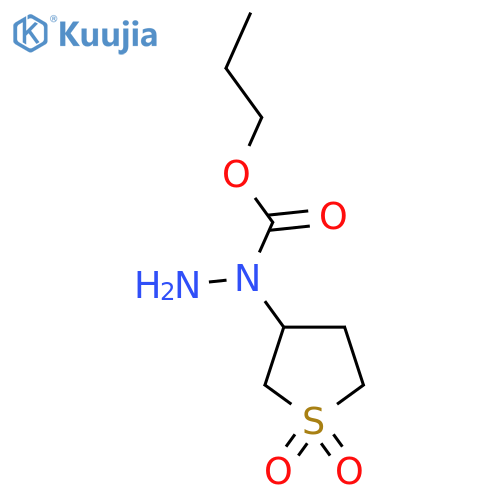 N-(1,1-dioxo-1lambda6-thiolan-3-yl)propoxycarbohydrazide structure