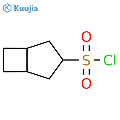 bicyclo3.2.0heptane-3-sulfonyl chloride structure