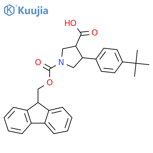 4-(4-tert-butylphenyl)-1-{[(9H-fluoren-9-yl)methoxy]carbonyl}pyrrolidine-3-carboxylic acid structure