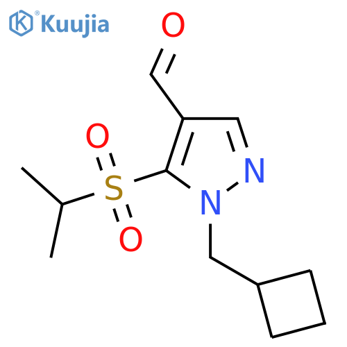 1-(cyclobutylmethyl)-5-(propane-2-sulfonyl)-1H-pyrazole-4-carbaldehyde structure
