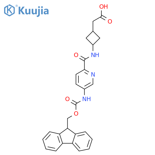 2-{3-5-({(9H-fluoren-9-yl)methoxycarbonyl}amino)pyridine-2-amidocyclobutyl}acetic acid structure