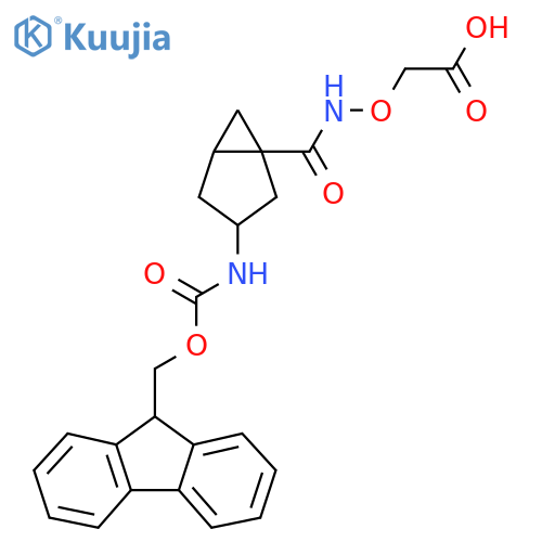 2-({3-({(9H-fluoren-9-yl)methoxycarbonyl}amino)bicyclo3.1.0hexan-1-ylformamido}oxy)acetic acid structure