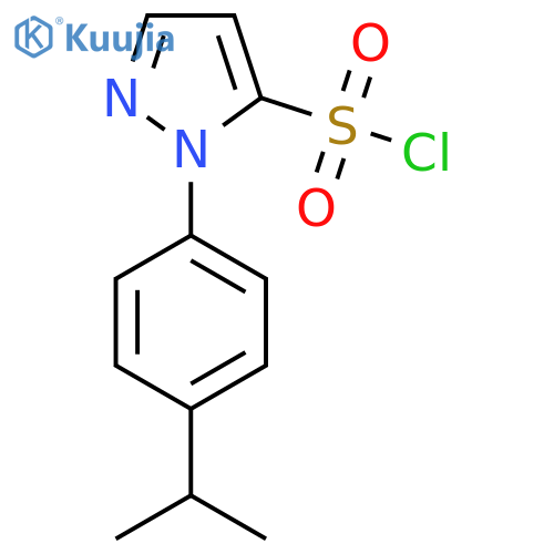 1-4-(propan-2-yl)phenyl-1H-pyrazole-5-sulfonyl chloride structure