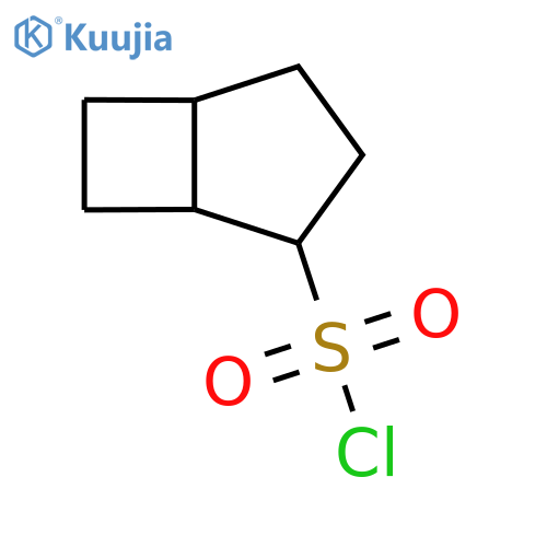 bicyclo3.2.0heptane-2-sulfonyl chloride structure