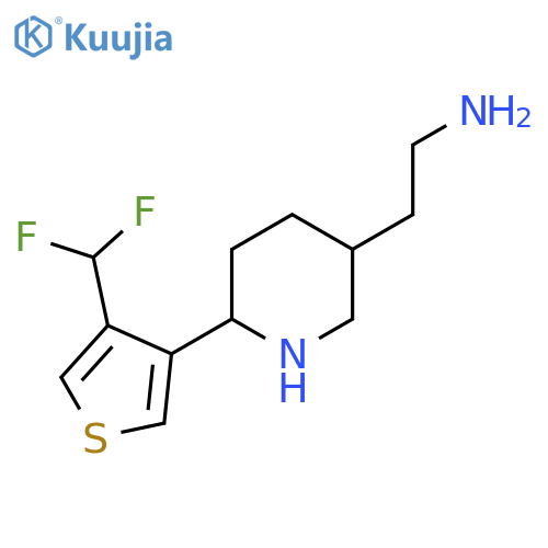 2-{6-4-(difluoromethyl)thiophen-3-ylpiperidin-3-yl}ethan-1-amine structure