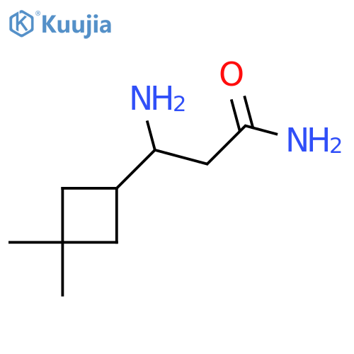 3-amino-3-(3,3-dimethylcyclobutyl)propanamide structure