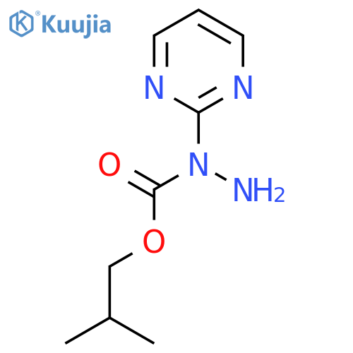 N-(pyrimidin-2-yl)(2-methylpropoxy)carbohydrazide structure