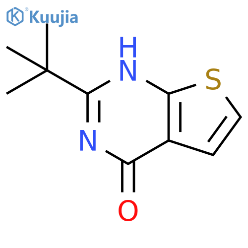 2-tert-butyl-3H,4H-thieno2,3-dpyrimidin-4-one structure