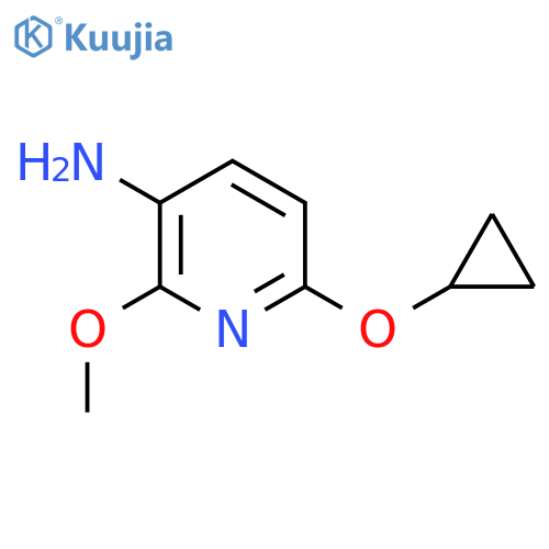 6-cyclopropoxy-2-methoxypyridin-3-amine structure