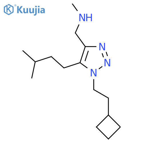 {1-(2-cyclobutylethyl)-5-(3-methylbutyl)-1H-1,2,3-triazol-4-ylmethyl}(methyl)amine structure
