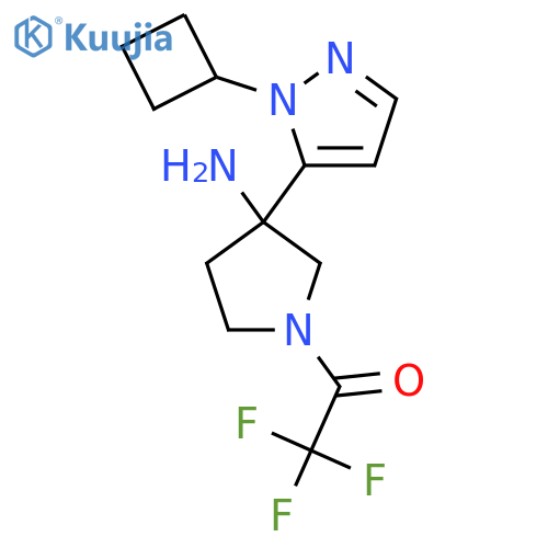 1-3-amino-3-(1-cyclobutyl-1H-pyrazol-5-yl)pyrrolidin-1-yl-2,2,2-trifluoroethan-1-one structure