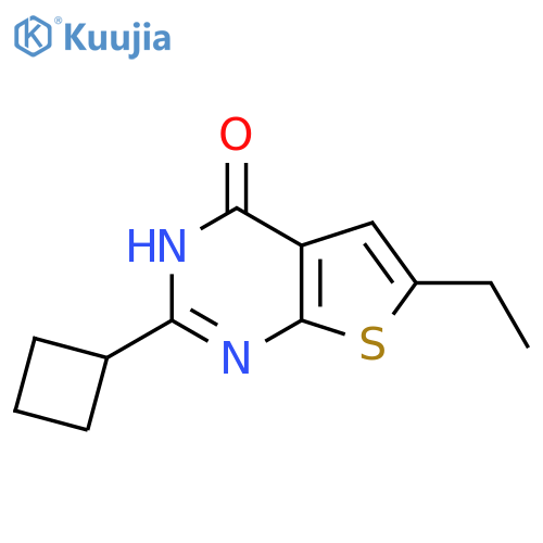 2-cyclobutyl-6-ethyl-3H,4H-thieno2,3-dpyrimidin-4-one structure