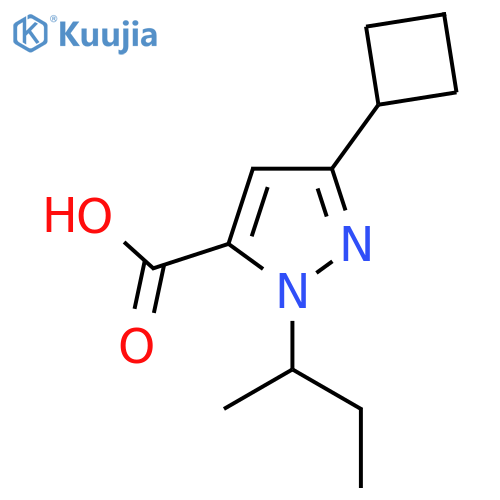 1-(butan-2-yl)-3-cyclobutyl-1H-pyrazole-5-carboxylic acid structure