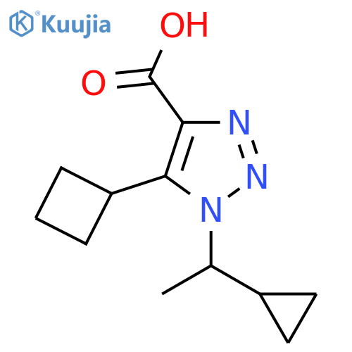 5-cyclobutyl-1-(1-cyclopropylethyl)-1H-1,2,3-triazole-4-carboxylic acid structure