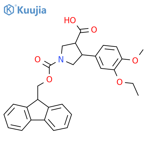 4-(3-ethoxy-4-methoxyphenyl)-1-{(9H-fluoren-9-yl)methoxycarbonyl}pyrrolidine-3-carboxylic acid structure