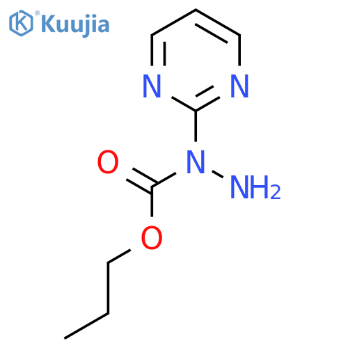 N-(pyrimidin-2-yl)propoxycarbohydrazide structure