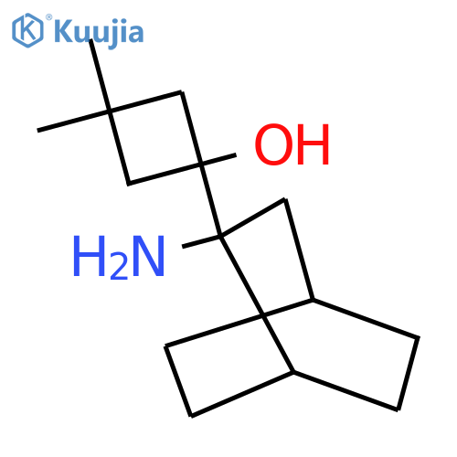 1-{2-aminobicyclo2.2.2octan-2-yl}-3,3-dimethylcyclobutan-1-ol structure