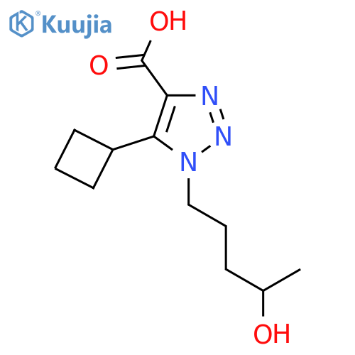 5-cyclobutyl-1-(4-hydroxypentyl)-1H-1,2,3-triazole-4-carboxylic acid structure