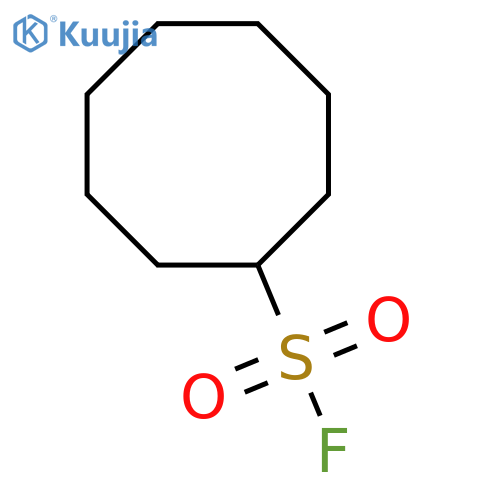 cyclooctanesulfonyl fluoride structure
