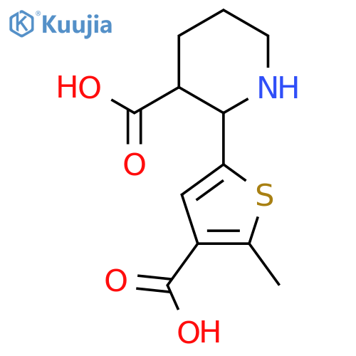 2-(4-Carboxy-5-methylthiophen-2-yl)piperidine-3-carboxylic acid structure