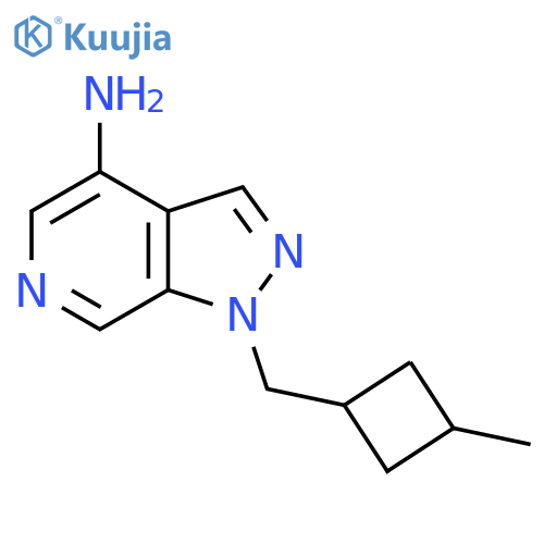 1-(3-methylcyclobutyl)methyl-1H-pyrazolo3,4-cpyridin-4-amine structure
