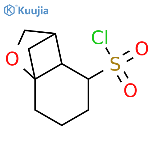 9-oxatricyclo5.2.1.0,1,6decane-5-sulfonyl chloride structure