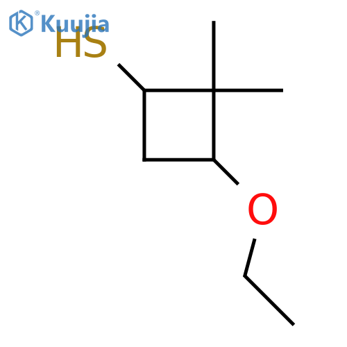 3-ethoxy-2,2-dimethylcyclobutane-1-thiol structure
