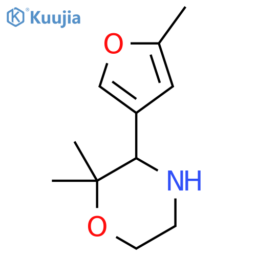 2,2-dimethyl-3-(5-methylfuran-3-yl)morpholine structure