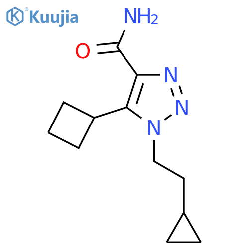 5-cyclobutyl-1-(2-cyclopropylethyl)-1H-1,2,3-triazole-4-carboxamide structure