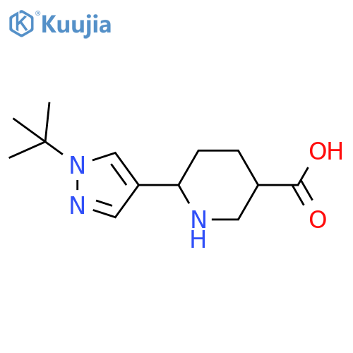 6-(1-tert-butyl-1H-pyrazol-4-yl)piperidine-3-carboxylic acid structure