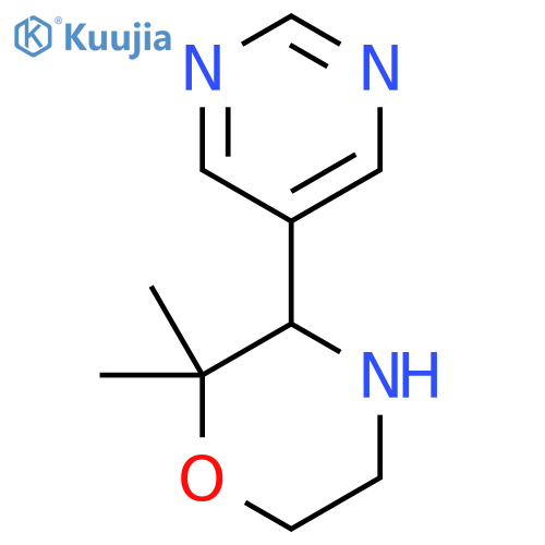 2,2-dimethyl-3-(pyrimidin-5-yl)morpholine structure