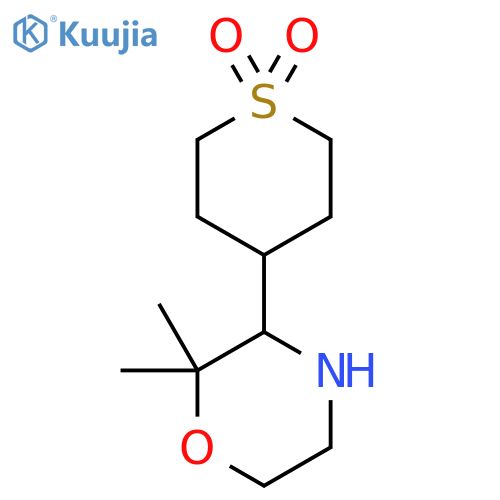 4-(2,2-Dimethylmorpholin-3-yl)-1lambda6-thiane-1,1-dione structure