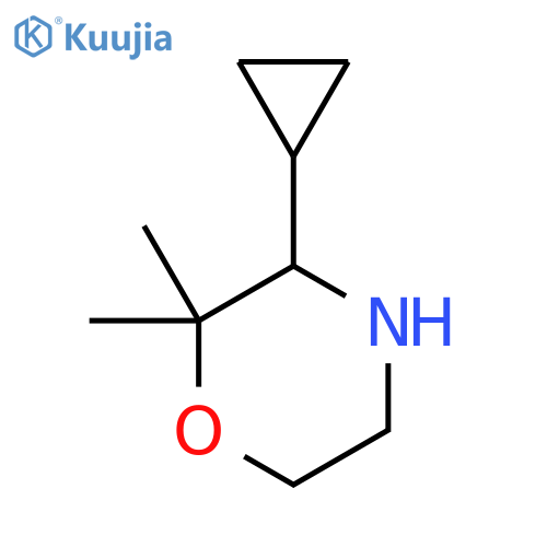 3-Cyclopropyl-2,2-dimethylmorpholine structure