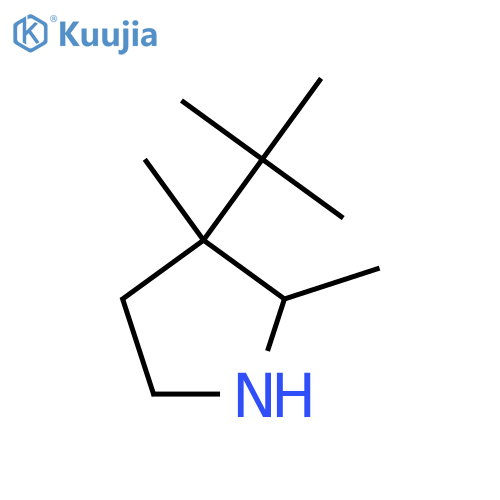 3-tert-butyl-2,3-dimethylpyrrolidine structure