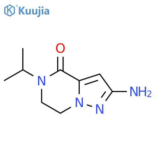 2-amino-5-(propan-2-yl)-4H,5H,6H,7H-pyrazolo1,5-apyrazin-4-one structure