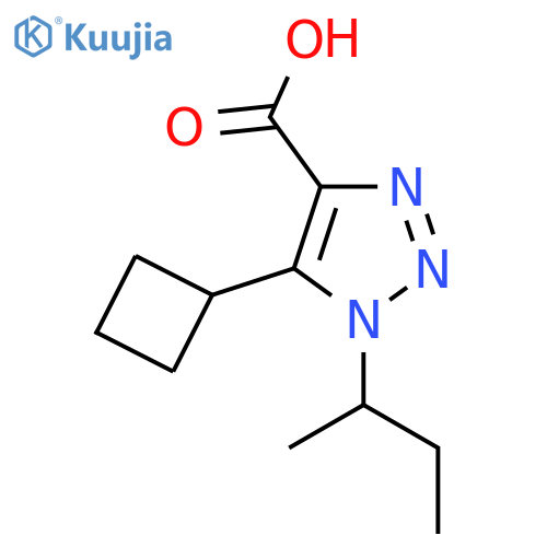 1-(butan-2-yl)-5-cyclobutyl-1H-1,2,3-triazole-4-carboxylic acid structure