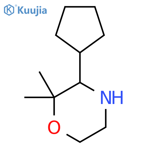 3-cyclopentyl-2,2-dimethylmorpholine structure