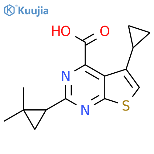 5-cyclopropyl-2-(2,2-dimethylcyclopropyl)thieno2,3-dpyrimidine-4-carboxylic acid structure