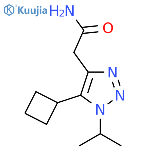 2-5-cyclobutyl-1-(propan-2-yl)-1H-1,2,3-triazol-4-ylacetamide structure