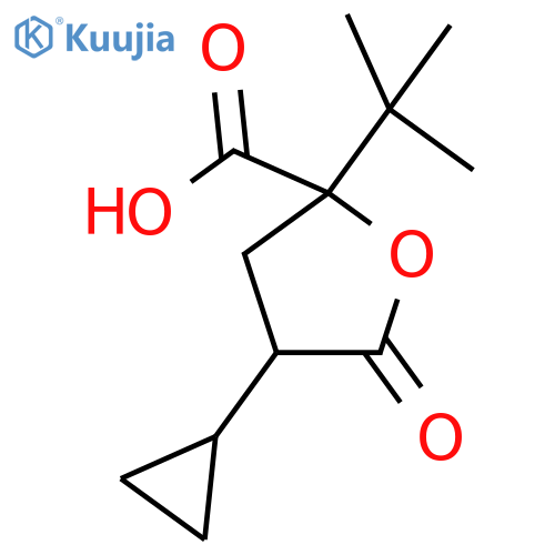2-tert-butyl-4-cyclopropyl-5-oxooxolane-2-carboxylic acid structure
