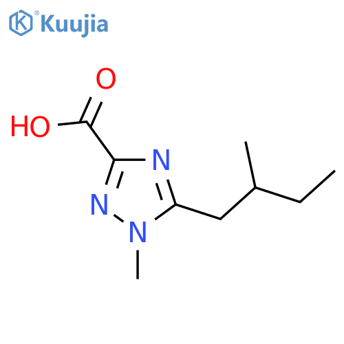1-methyl-5-(2-methylbutyl)-1H-1,2,4-triazole-3-carboxylic acid structure