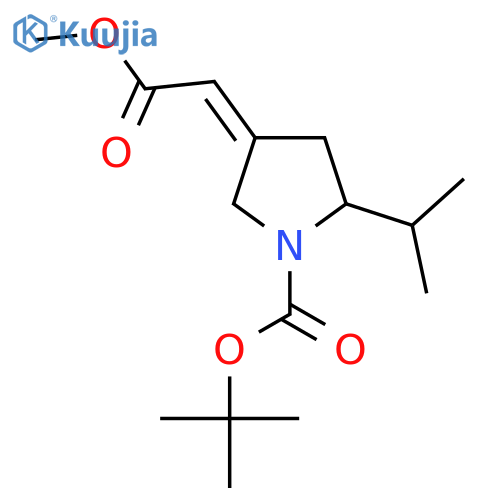 tert-butyl (4Z)-4-(2-methoxy-2-oxoethylidene)-2-(propan-2-yl)pyrrolidine-1-carboxylate structure