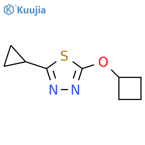 2-cyclobutoxy-5-cyclopropyl-1,3,4-thiadiazole structure