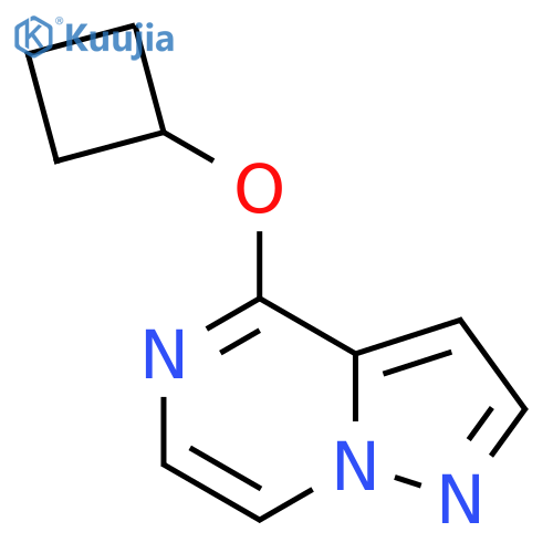 4-Cyclobutoxypyrazolo[1,5-a]pyrazine structure